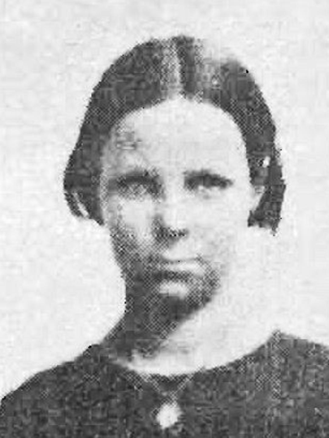 Anna Elizabeth Higgs (1853 - 1947) Profile